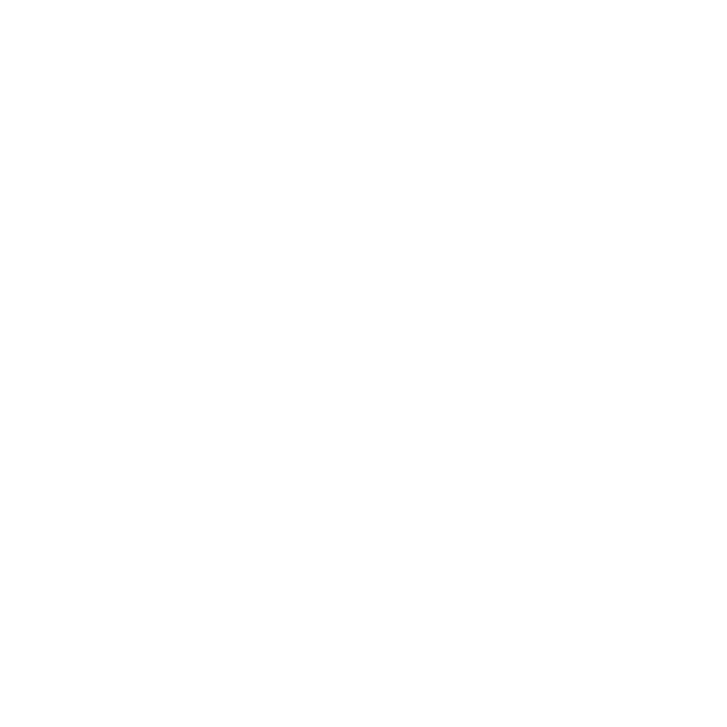 Vuruci Logo